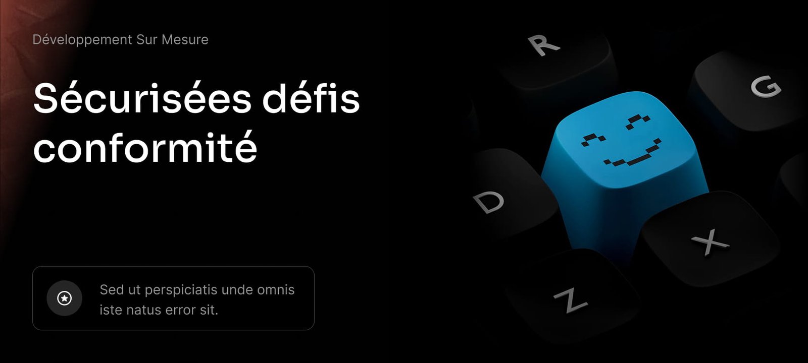 Développement Sur Mesure