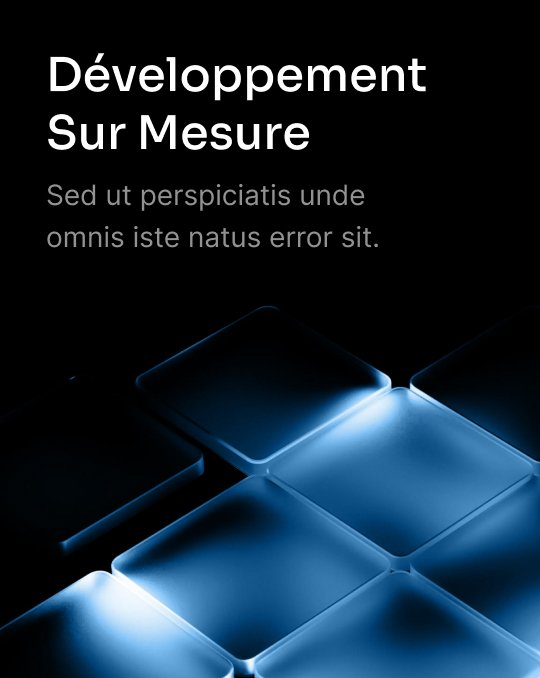 Développement Sur Mesure